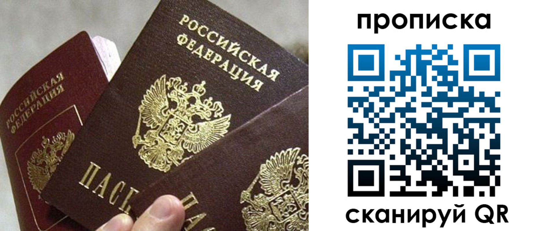 прописка 2025 в Химках